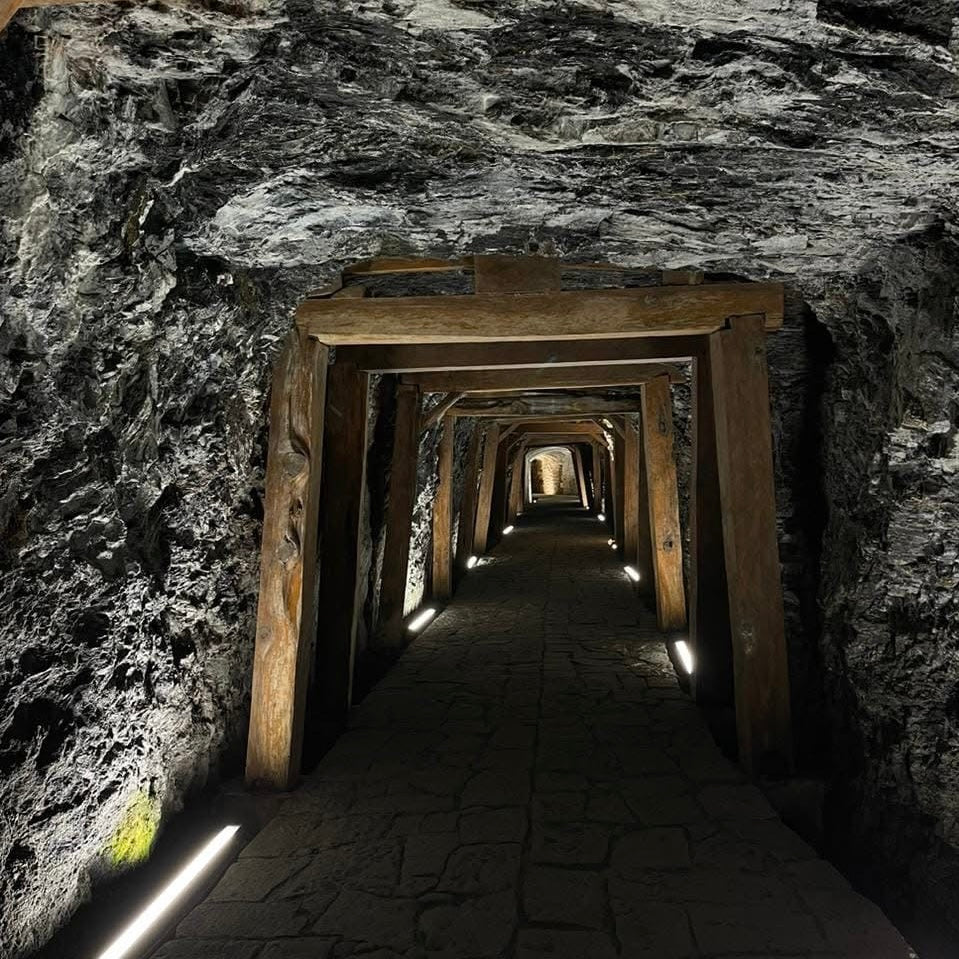 Santuario de las Luciérnagas | 26 de Julio 2026
