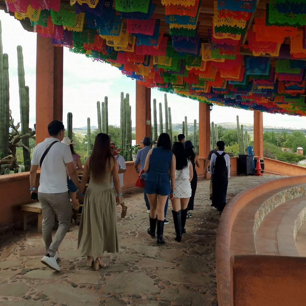 Recorrido en Viñedo Azteca | 28 de Junio 2026