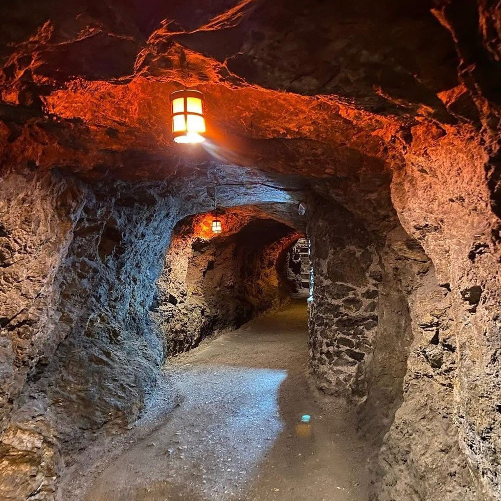 City Tour Guanajuato | 28 de Junio 2026