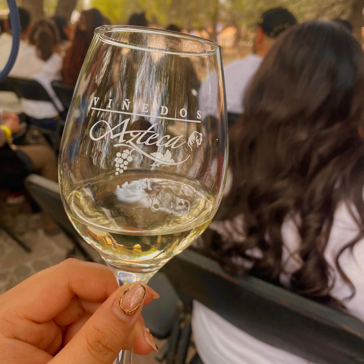 Ruta del Vino y Peña de Bernal  | 28 de Junio 2026