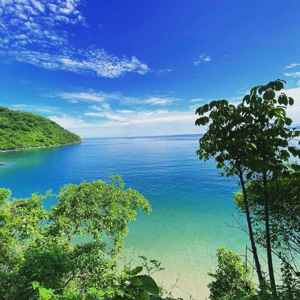 Playa Los Ayala en Nayarit | Tour de 1 Día | 14 Junio 2026