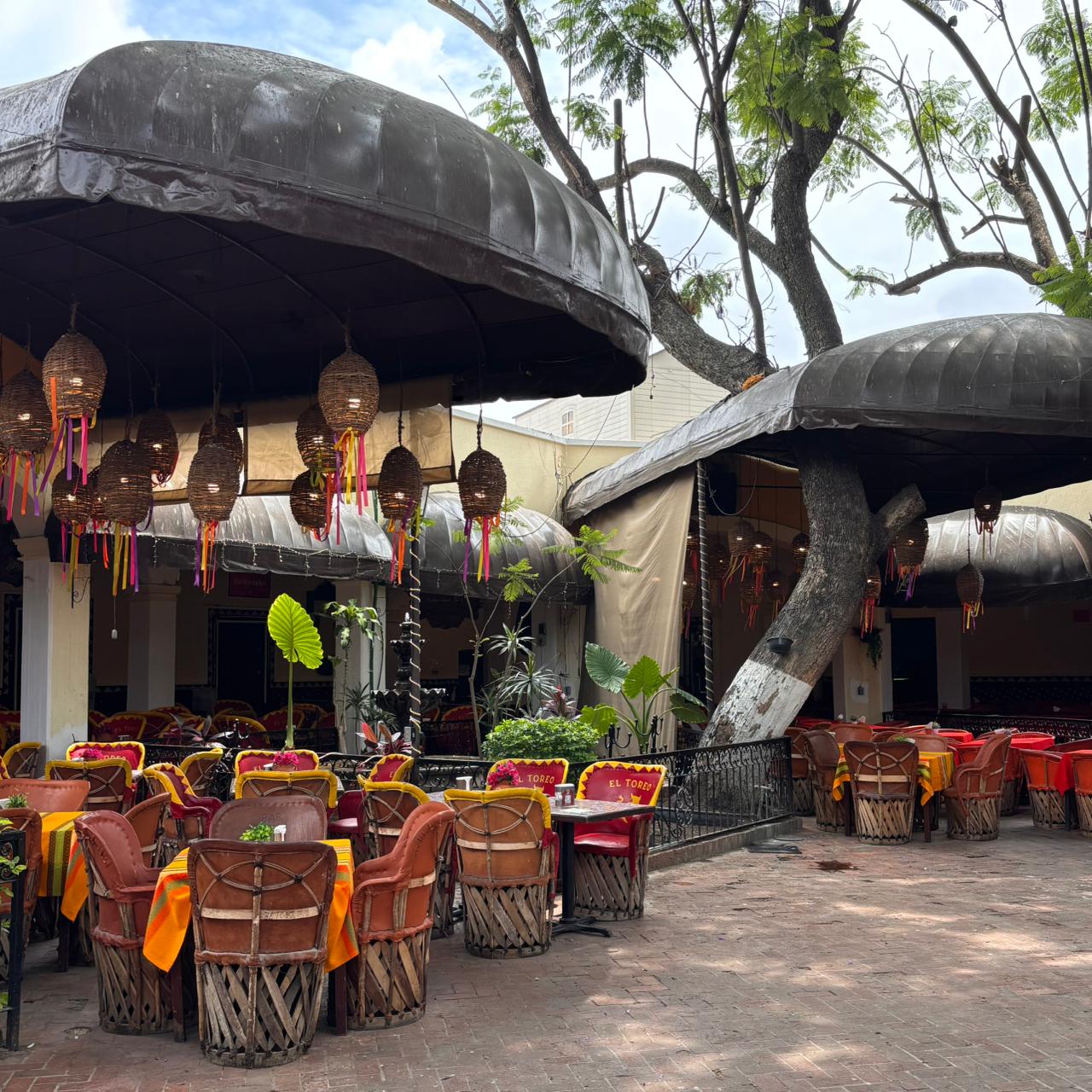 Tour Pueblos Mágicos (Tequila y Tlaquepaque) | Salidas Todos los Días
