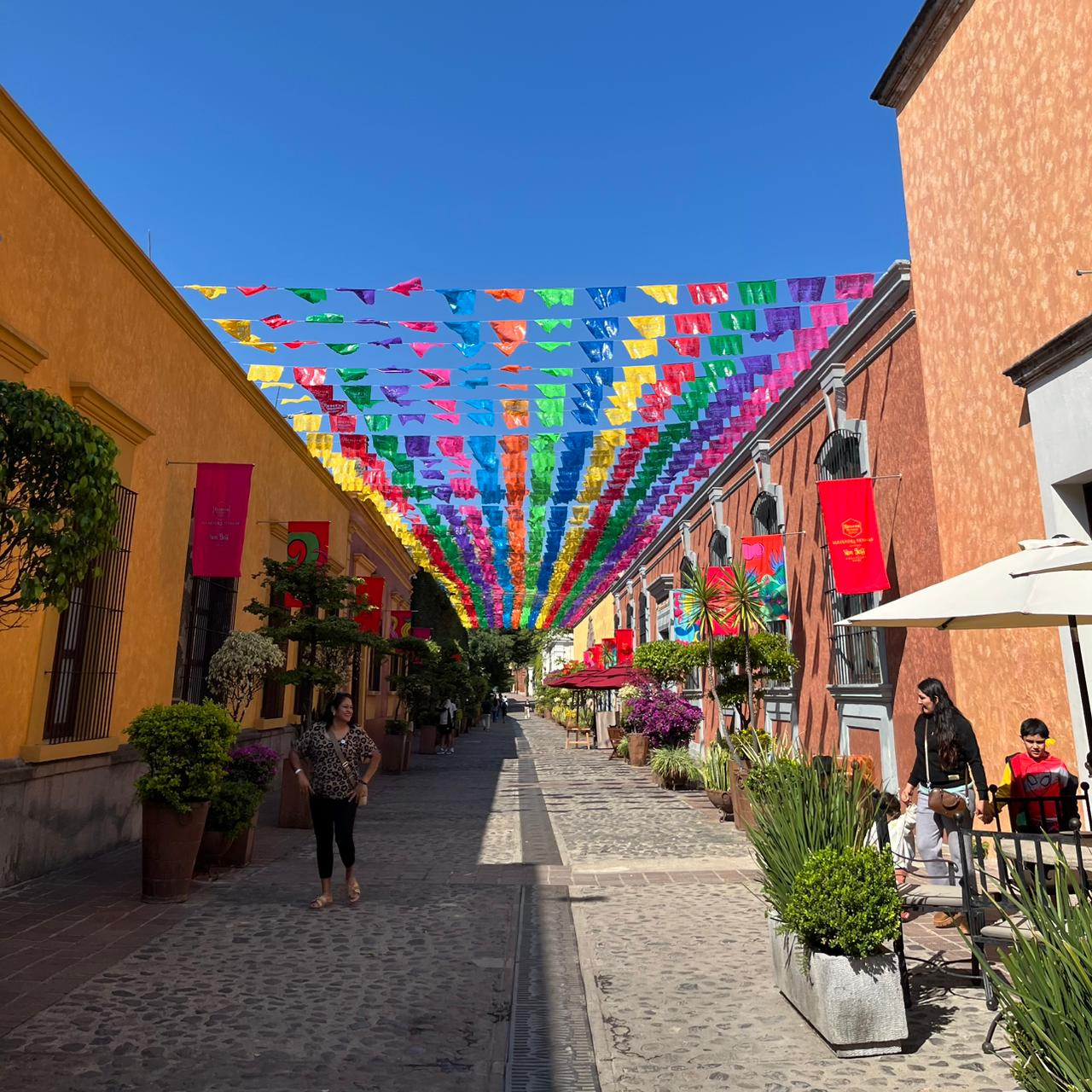 Tour Pueblos Mágicos (Tequila y Tlaquepaque) | Salidas Todos los Días