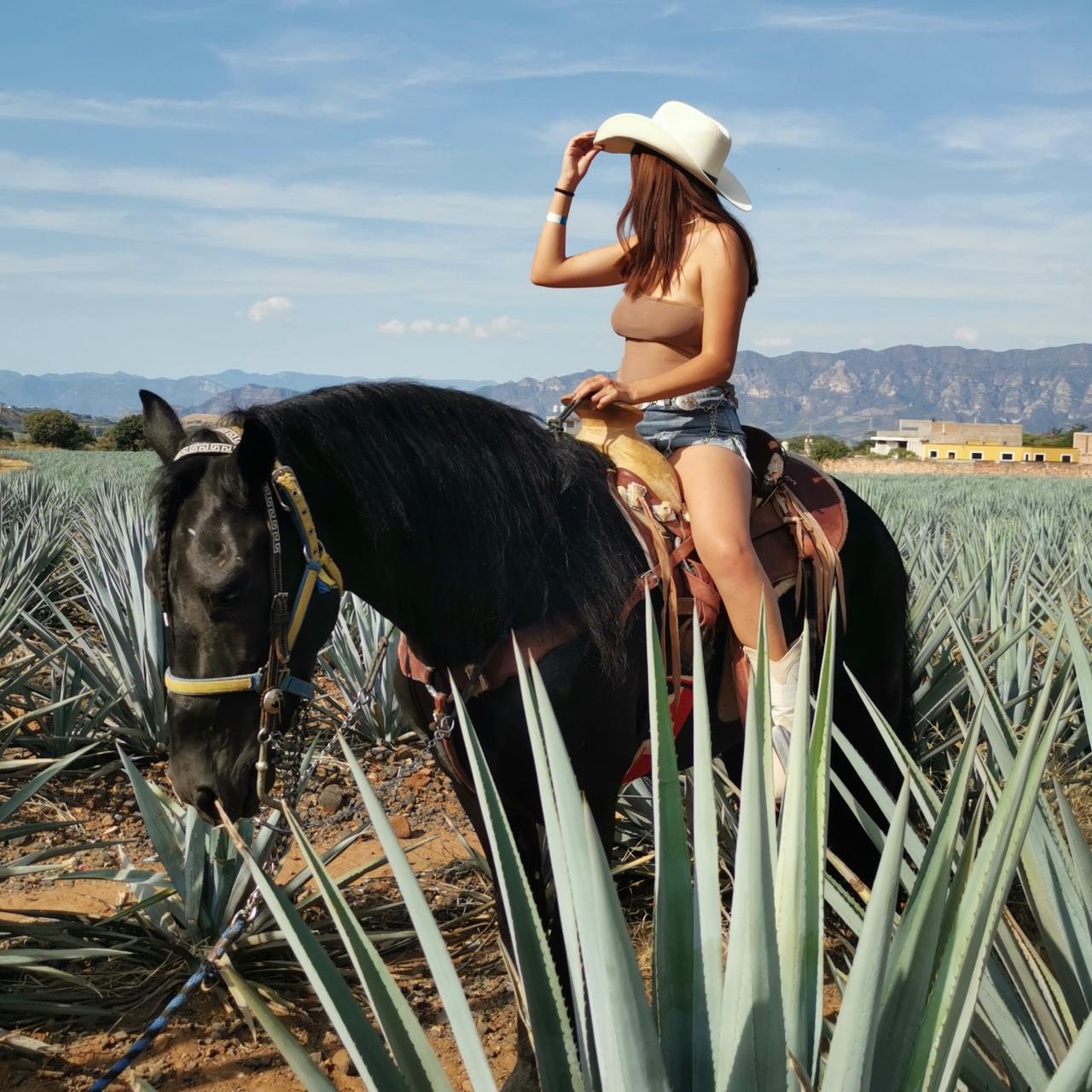 Tour Pueblos Mágicos (Tequila y Tlaquepaque) | Salidas Todos los Días