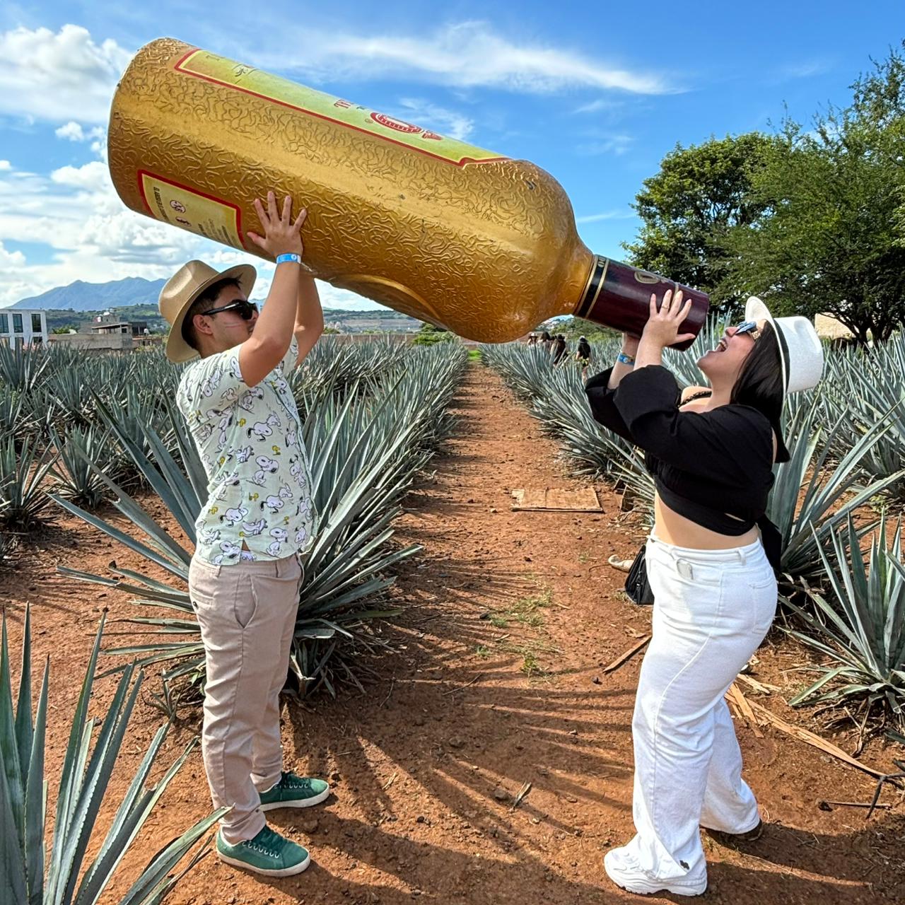 Tour Pueblos Mágicos (Tequila y Tlaquepaque) | Salidas Todos los Días