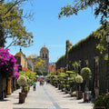 Tour Pueblos Mágicos (Tequila y Tlaquepaque) | Salidas Todos los Días