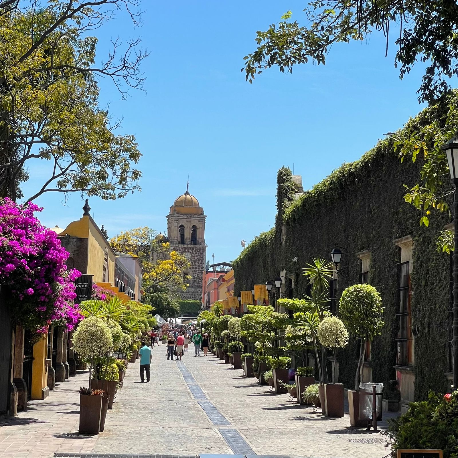 Tour Pueblos Mágicos (Tequila y Tlaquepaque) | Salidas Todos los Días
